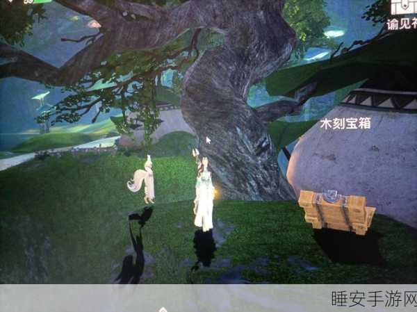 天谕手游伞村宝箱全攻略,揭秘隐藏宝藏位置与获取技巧