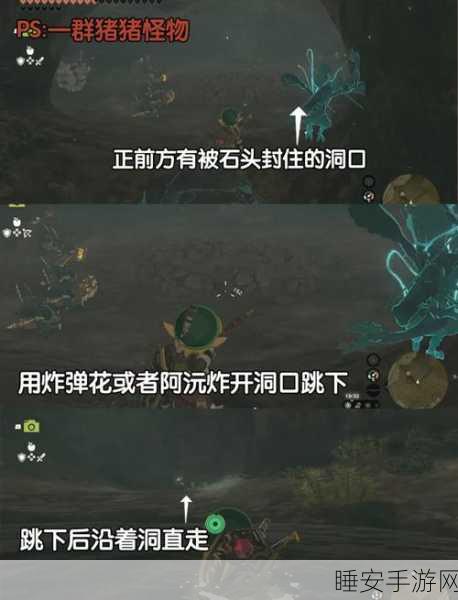 塞尔达传说王国之泪,蛮族服快速获取全攻略,探险必备装备揭秘!