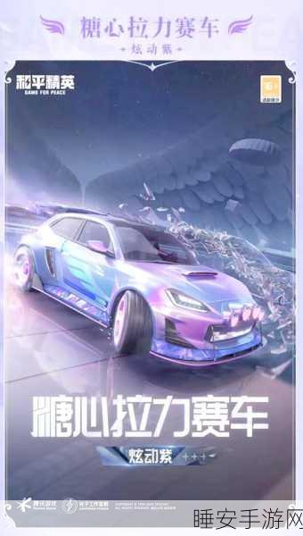 和平精英车辆皮肤消失之谜，玩家热议与官方回应深度解析