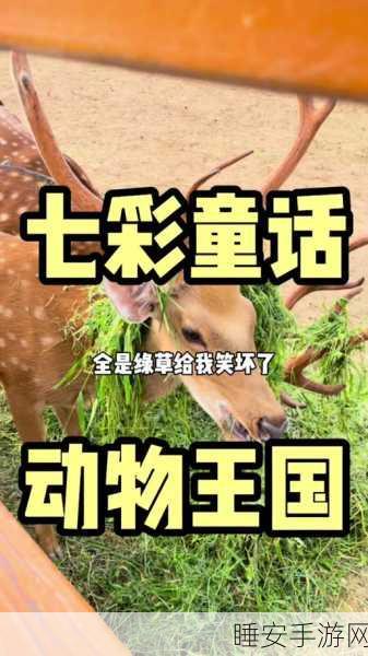 疯狂动物园新宠曝光,家养狮子辛巴达亮相,亲密接触大赛即将开启
