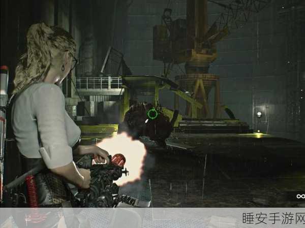 生化危机2重制版,极致画面设置指南,打造沉浸式恐怖体验