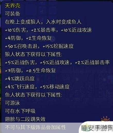 泰拉瑞亚深度攻略，肉山后法师顶级装备与饰品搭配秘籍