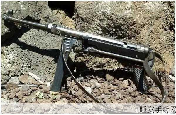 孤岛惊魂3,终极武器指南,解锁全枪械与近战利器秘籍