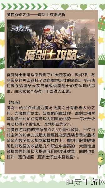 奇迹魔剑士法魔加点与技能搭配深度解析，征服竞技场的终极策略