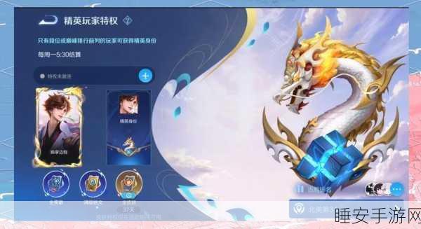 王者荣耀贵族10尊享特权，皮肤共享全解析及实战攻略