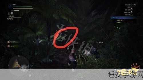 怪物猎人世界,揭秘沼渡珠的获取攻略与珍贵用途