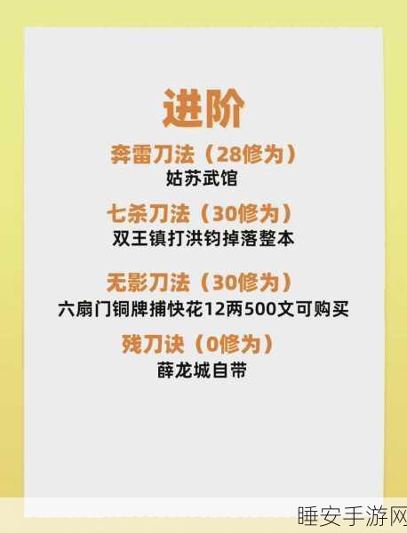 刀剑江湖路高手秘籍，初期重刃使用深度剖析与实战技巧