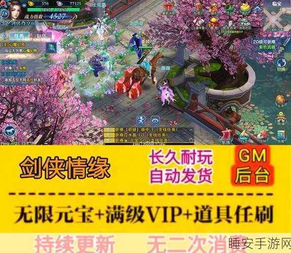 剑侠情缘手游深度攻略，资源获取与高效传功技巧揭秘