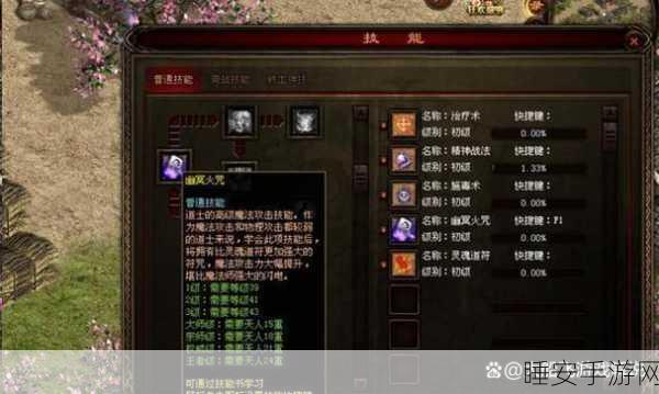 传奇世界深度攻略,解锁隐藏玩法与小技巧,助你称霸服务器