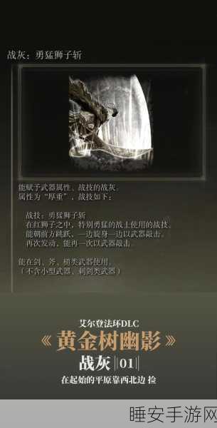 艾尔登法环高手秘籍,罗杰尔刺剑绝技与实战深度剖析