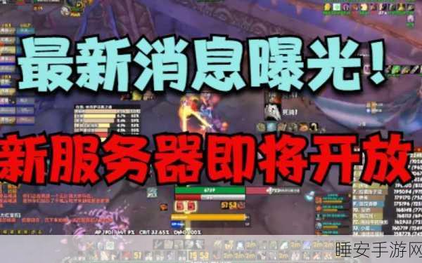 魔兽世界N服探秘,私人服务器的辉煌历程与最新赛事揭秘