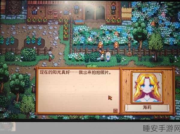 星露谷物语,海莉手镯寻觅全攻略,速通真爱之路