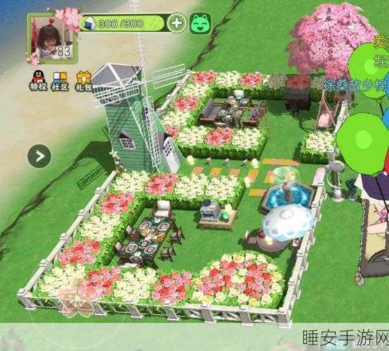 小森生活揭秘,辛巴的味蕾偏好大公开!探索宠物喂食新乐趣