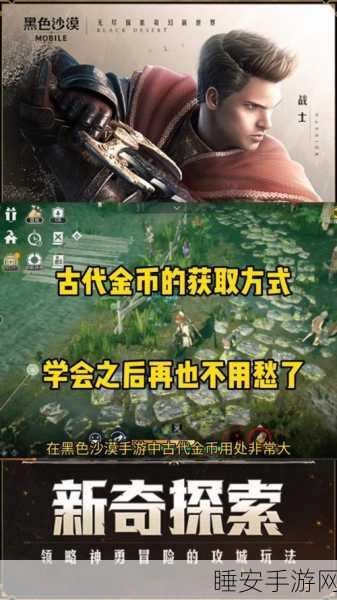 黑色沙漠手游，揭秘古代金币的无限潜能与珍稀用途