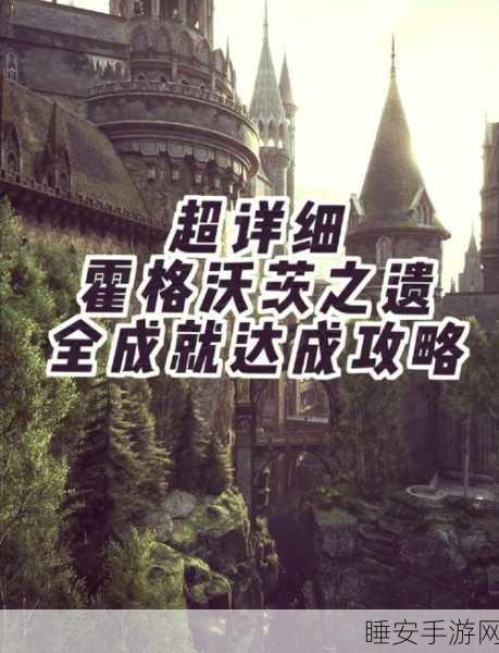 霍格沃茨之遗，揭秘学院选择全攻略，助你成为魔法界新星！