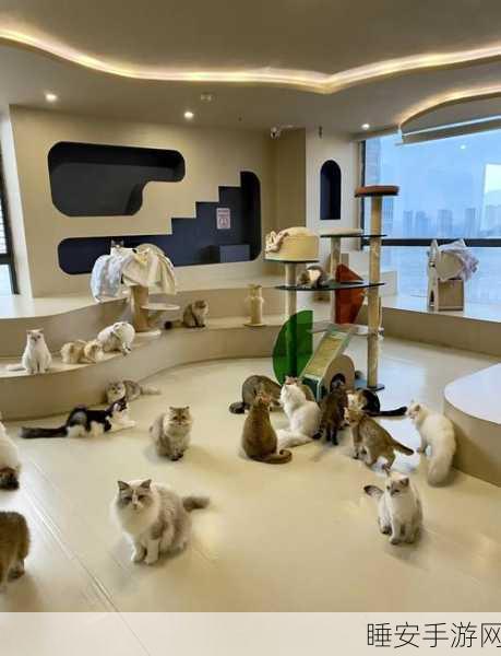 萌宠治愈系新游上线！猫猫咖啡馆下载开启，打造你的梦幻猫咪乐园
