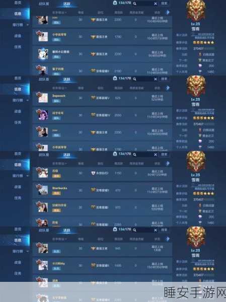 王者荣耀战队星元第二期,深度攻略与精彩赛事细节揭秘