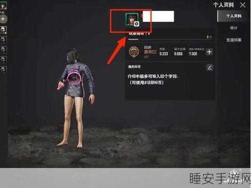 绝地求生未来之役，改旗子技巧深度揭秘，助你战场称雄
