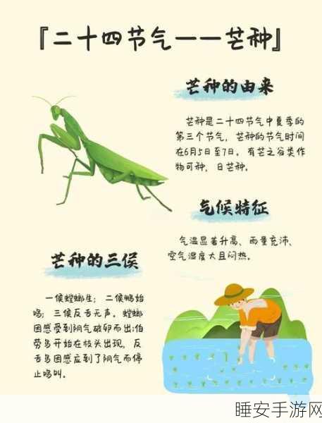 桃源深处有人家，芒种节气新玩法大揭秘，农耕乐趣与专属活动惊喜等你来体验！