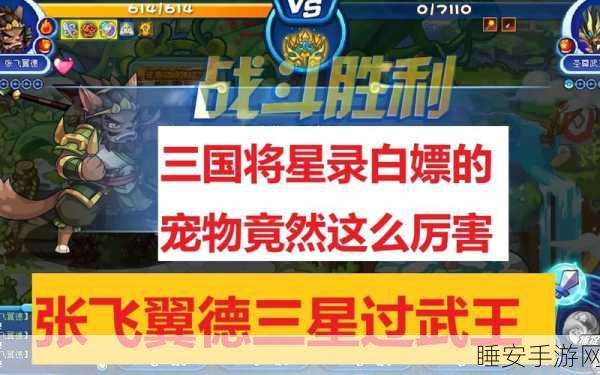洛克王国星辰塔挑战攻略,圣尊武王通关秘籍大公开!