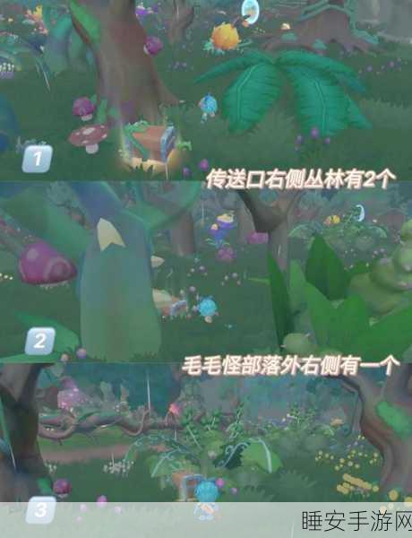 摩尔庄园黑森林探险指南,宝箱位置全揭秘与实战攻略