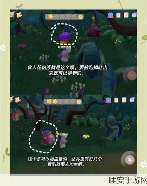 摩尔庄园黑森林探险指南,宝箱位置全揭秘与实战攻略