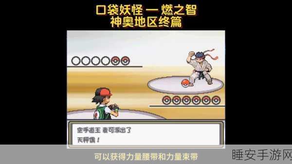 口袋妖怪燃之智,正版下载开启,重温经典休闲益智之旅