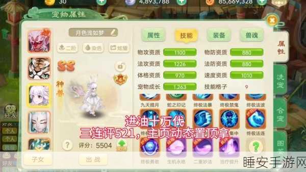 西游女儿国深度揭秘，宠物护符玩法全攻略与竞技细节