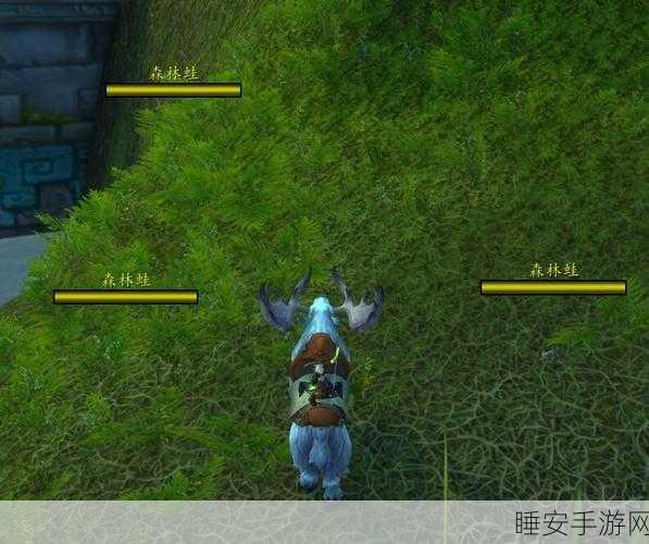 揭秘魔兽世界腐液收集任务,高效攻略与实战技巧大公开