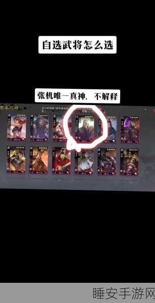 手游攻略,率土之滨顶尖实战武将养成与搭配秘籍