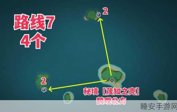 原神海灵芝采集大赛，高效攻略与顶级技巧揭秘