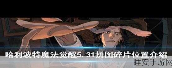 魁地奇高手进阶,哈利波特魔法觉醒中的飞行竞技深度攻略