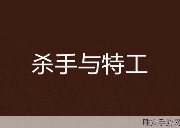 特工与杀手终极对决,地下城与勇士职业争霸赛揭秘