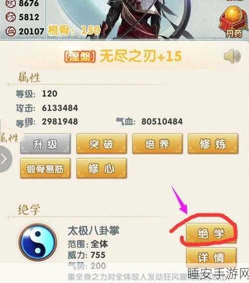 大掌门中午破阵全攻略,揭秘资源管理高效秘籍,零浪费称霸武林