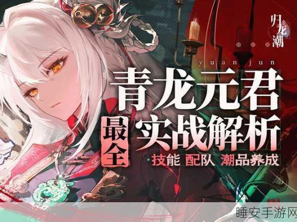 归龙潮英雄技能全解析,解锁战斗新姿势!