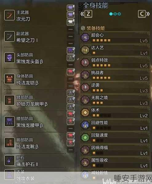 怪物猎人世界,揭秘夺气护石,耐力掠夺者的终极装备选择!