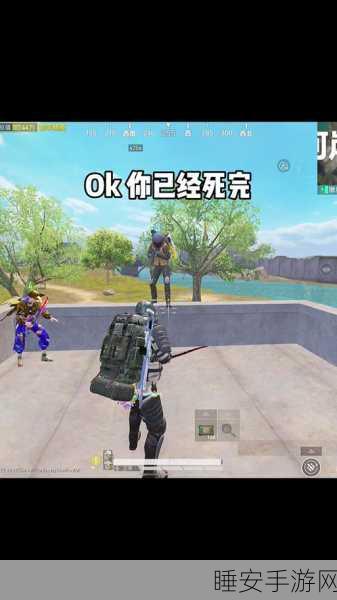 揭秘和平精英特种兵迷宫挑战,策略与技巧助你直通胜利终点