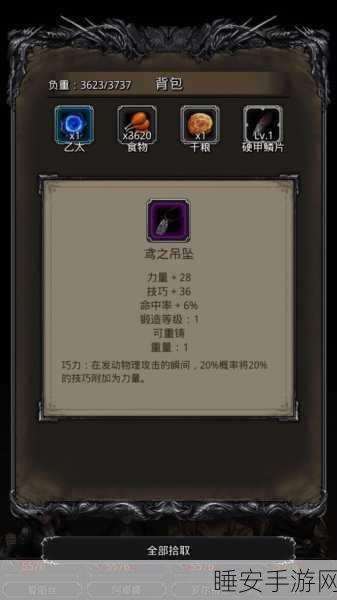 地下城堡2深度解析，龙纹银币的奇妙用途与获取攻略