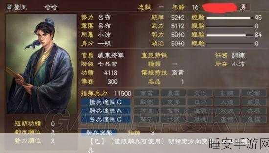 三国志13深度攻略，自创武将系统全揭秘，打造专属传奇英雄