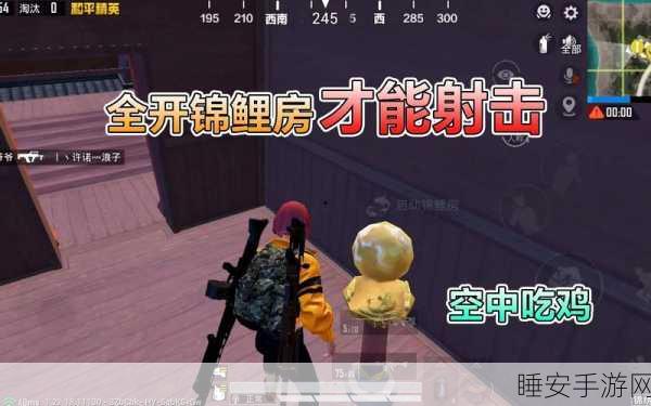 和平精英锦鲤活动全攻略,揭秘大奖获取秘诀,助你战场称霸!