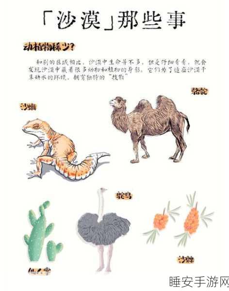 洛克王国探险指南，揭秘通往漂浮宫殿的奇幻之旅