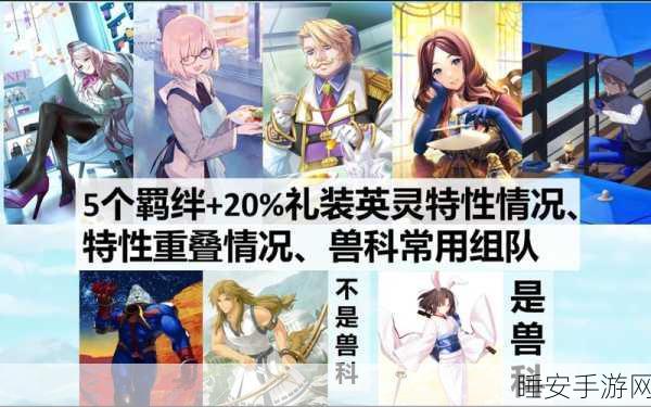 FGO新手攻略，英灵资源高效分配策略揭秘