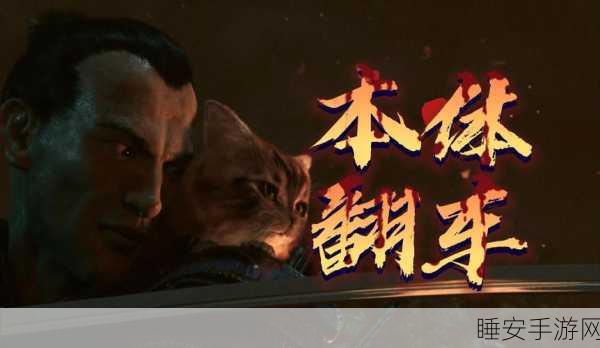重燃武士之魂,太阁立志传2风云再起,武士传奇新篇章