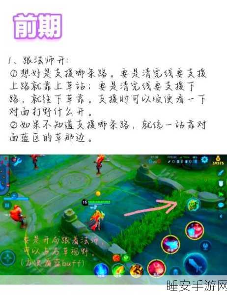 王者荣耀,揭秘摘星高手进阶秘籍,登顶王者峡谷的实战攻略
