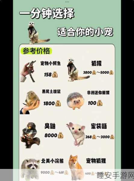 独家揭秘,第五人格宠物系统全攻略,轻松解锁你的个性小伙伴!