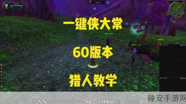 怀旧服攻略,轻松掌握魔兽世界怀旧服血条显示技巧