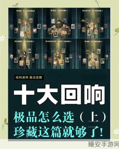 哈利波特魔法觉醒，深度解析海格回响的竞技场策略与魅力