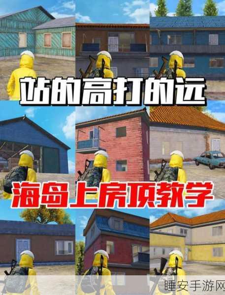 和平精英海岛图制胜秘籍，新手到老鸟的全攻略，揭秘高手战术布局
