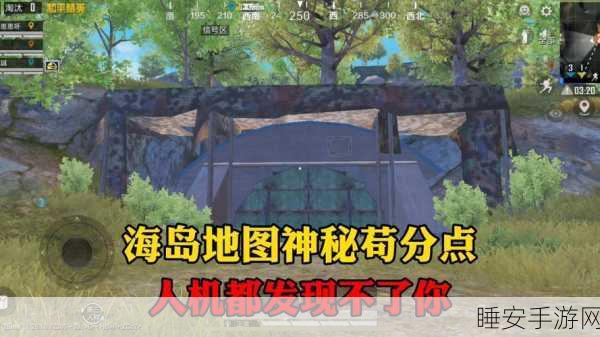 和平精英海岛图制胜秘籍,新手到老鸟的全攻略,揭秘高手战术布局