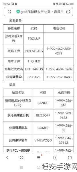 揭秘GTA5飞行秘籍，新手蜕变高手的翱翔之旅，含独家飞行大赛细节
